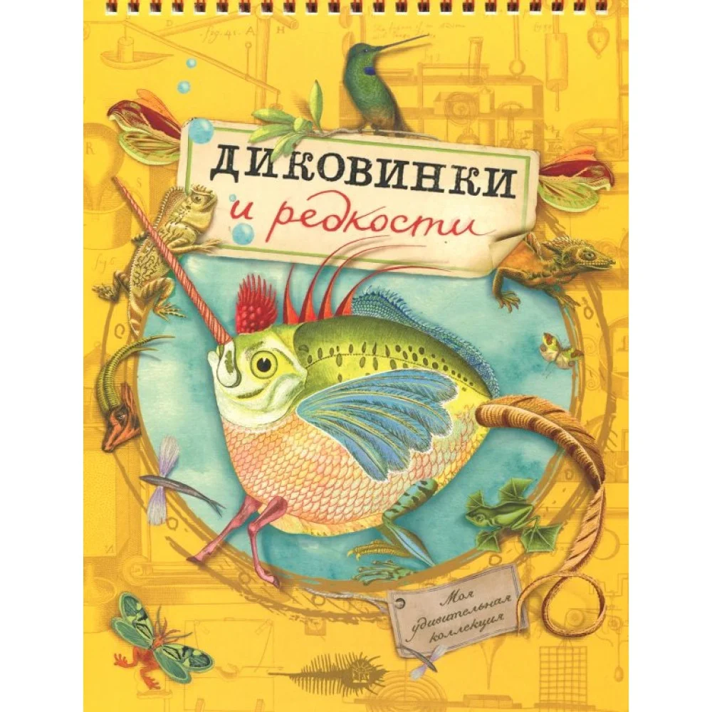 Моя удивительная коллекция. Диковинки и редкости Моя удивительная коллекция. Диковинки и редкости