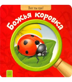 Вот ты где! Божья коровка