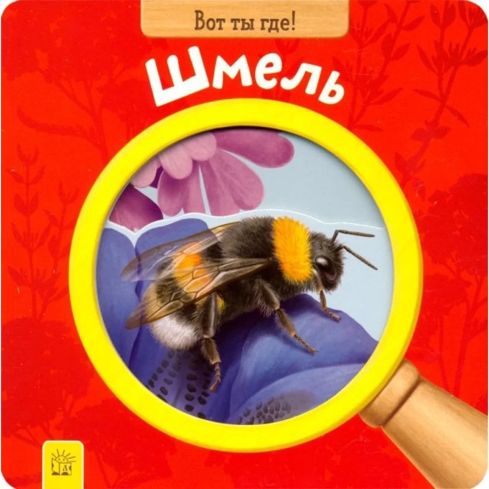 Вот ты где! Шмель Вот ты где! Шмель