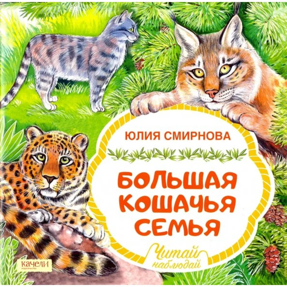 Большая кошачья семья Большая кошачья семья