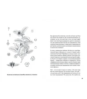 Невероятные приключения растений-путешественников