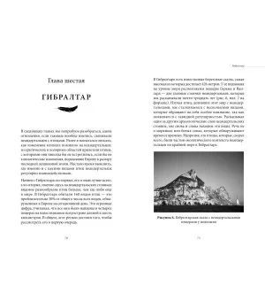 Умный неандерталец. Охота на птиц, пещерное искусство и когнитивная революция