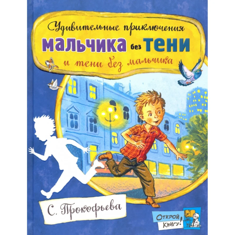 Удивительные приключения мальчика без тени и тени без мальчика Удивительные приключения мальчика без тени и тени без мальчика