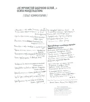 Поэзия в мертвой петле. Мандельштам и авиация
