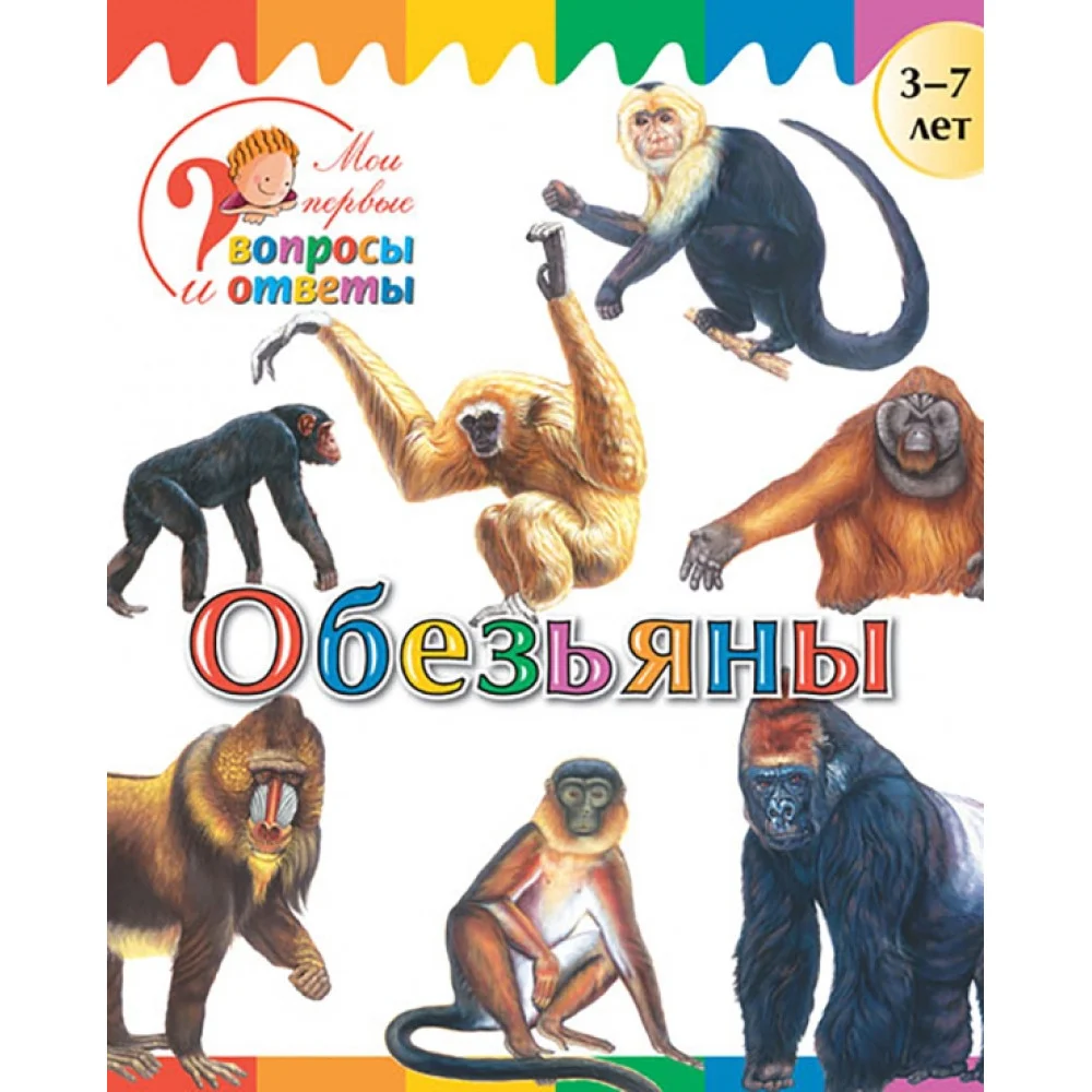 Обезьяны Обезьяны