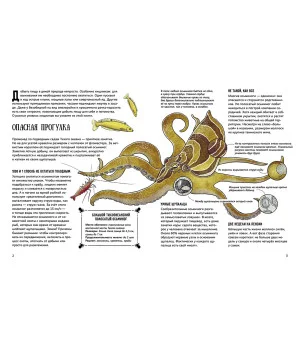 Вера Смирнова