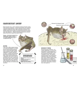 Вера Смирнова