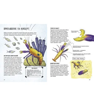 Вера Смирнова