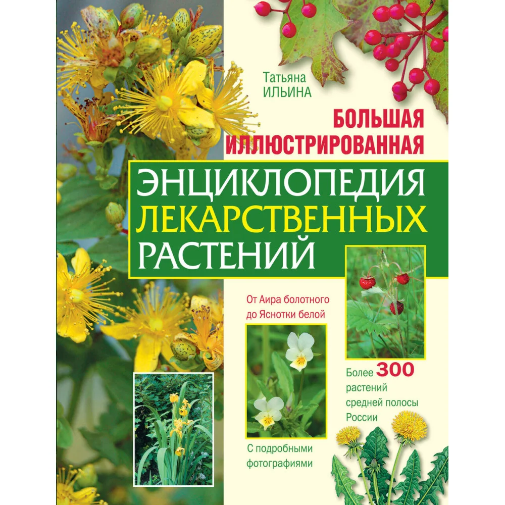 Большая иллюстрированная энциклопедия лекарственных растений Большая иллюстрированная энциклопедия лекарственных растений