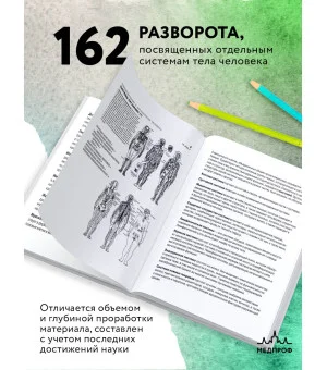 Анатомия человека: атлас-раскраска