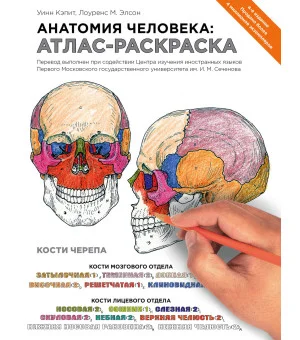 Анатомия человека: атлас-раскраска