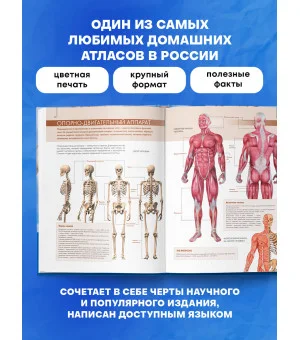 Анатомия человека: большой популярный атлас Анатомия человека: большой популярный атлас