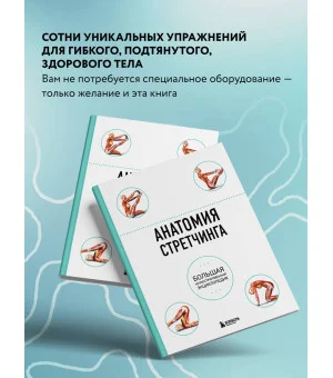 Анатомия стретчинга. Большая иллюстрированная энциклопедия