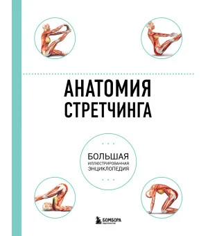 Анатомия стретчинга. Большая иллюстрированная энциклопедия