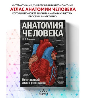 Анатомия человека: компактный атлас-раскраска