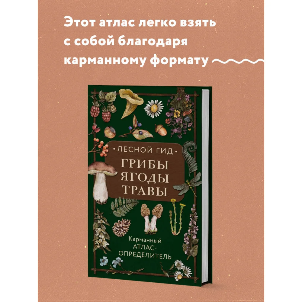 Лесной гид: грибы, ягоды, травы. Карманный атлас-определитель Лесной гид: грибы, ягоды, травы. Карманный атлас-определитель