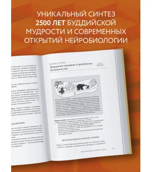 Свет ума. Подробный путеводитель по медитации