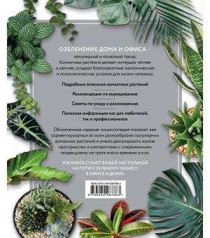 Зеленый оазис. Комнатные растения от А до Я