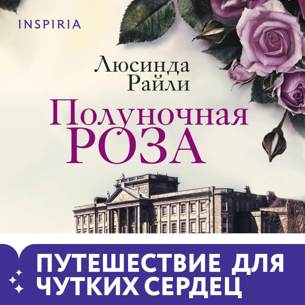 Полуночная роза Полуночная роза