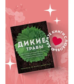 Дикие травы: как найти целебные продукты и создать собственные натуральные лекарства