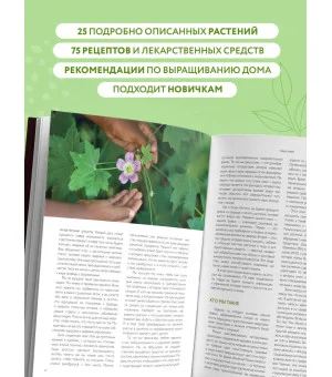 Дикие травы: как найти целебные продукты и создать собственные натуральные лекарства