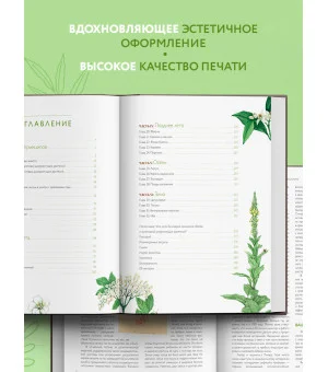 Дикие травы: как найти целебные продукты и создать собственные натуральные лекарства