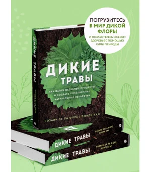 Дикие травы: как найти целебные продукты и создать собственные натуральные лекарства