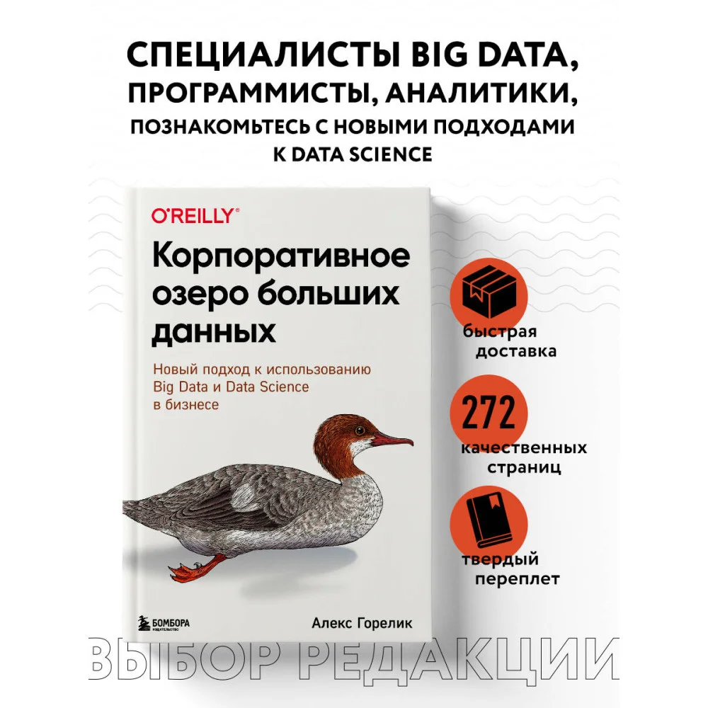 Корпоративное озеро больших данных. Новый подход к использованию Big Data и Data Science в бизнесе Корпоративное озеро больших данных. Новый подход к использованию Big Data и Data Science в бизнесе
