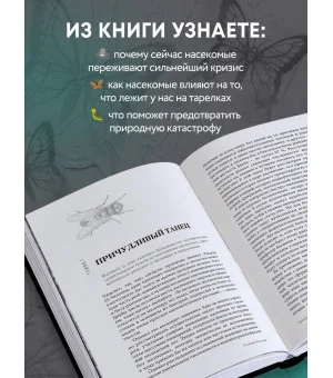 Закат и падение крошечных империй. Почему гибель насекомых угрожает существованию жизни на планете