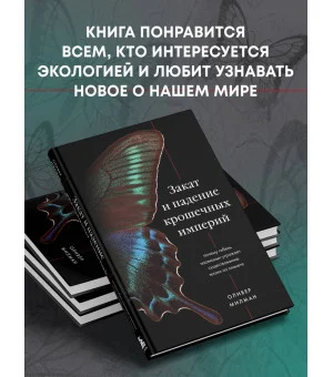 Закат и падение крошечных империй. Почему гибель насекомых угрожает существованию жизни на планете