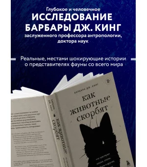 Как животные скорбят. Что чувствуют кошки, слоны, дельфины и другие, теряя близких