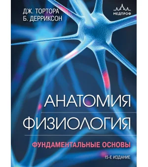 Анатомия. Физиология. Фундаментальные основы. 15-е издание