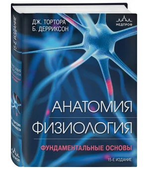Анатомия. Физиология. Фундаментальные основы. 15-е издание