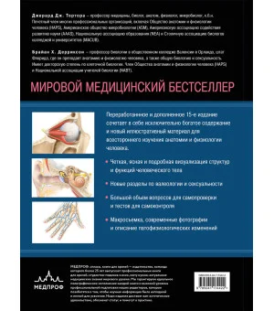 Анатомия. Физиология. Фундаментальные основы. 15-е издание
