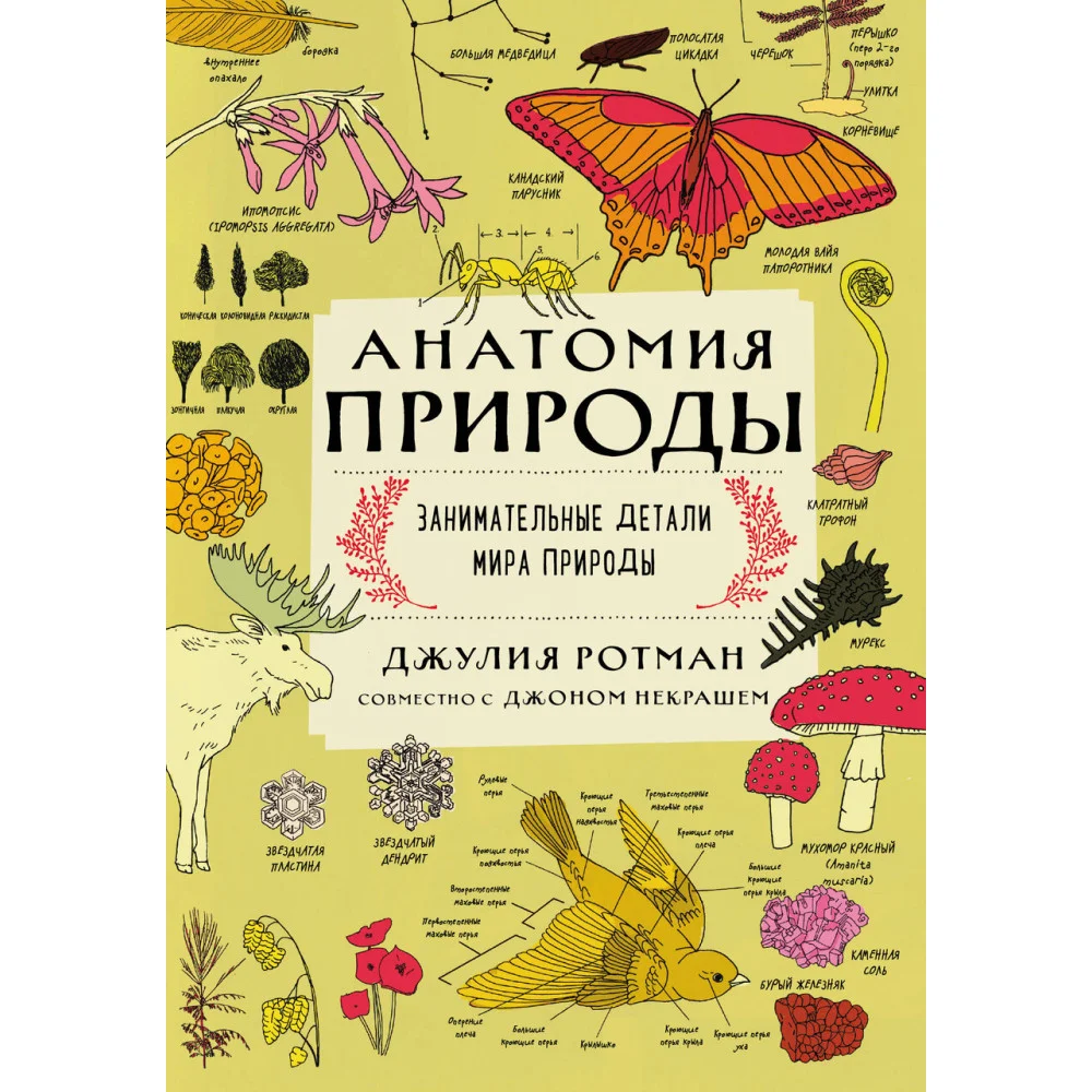 Анатомия природы. Занимательные детали мира природы Анатомия природы. Занимательные детали мира природы