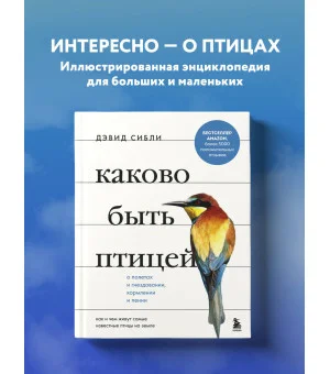 Каково быть птицей: о полетах и гнездовании, кормлении и пении. Как и чем живут самые известные птицы на земле