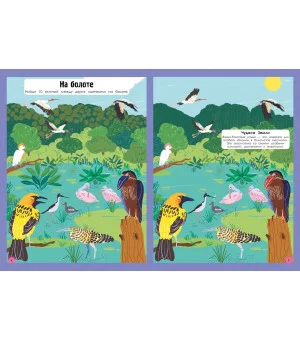 Наша планета в играх и головоломках