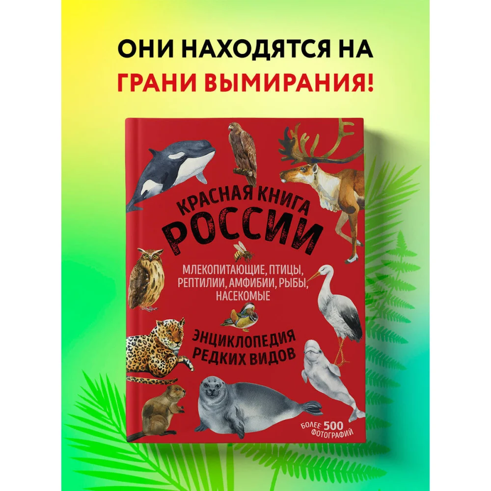 Красная книга России. Млекопитающие, птицы, рептилии, амфибии, рыбы, насекомые Красная книга России. Млекопитающие, птицы, рептилии, амфибии, рыбы, насекомые