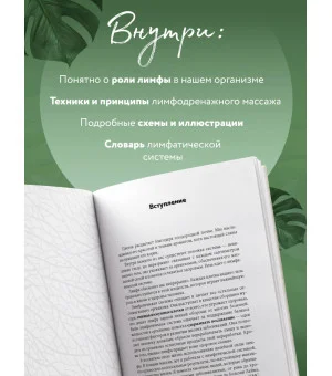 Живая лимфа. Техники лимфодренажного самомассажа для укрепления иммунитета и всех систем организма