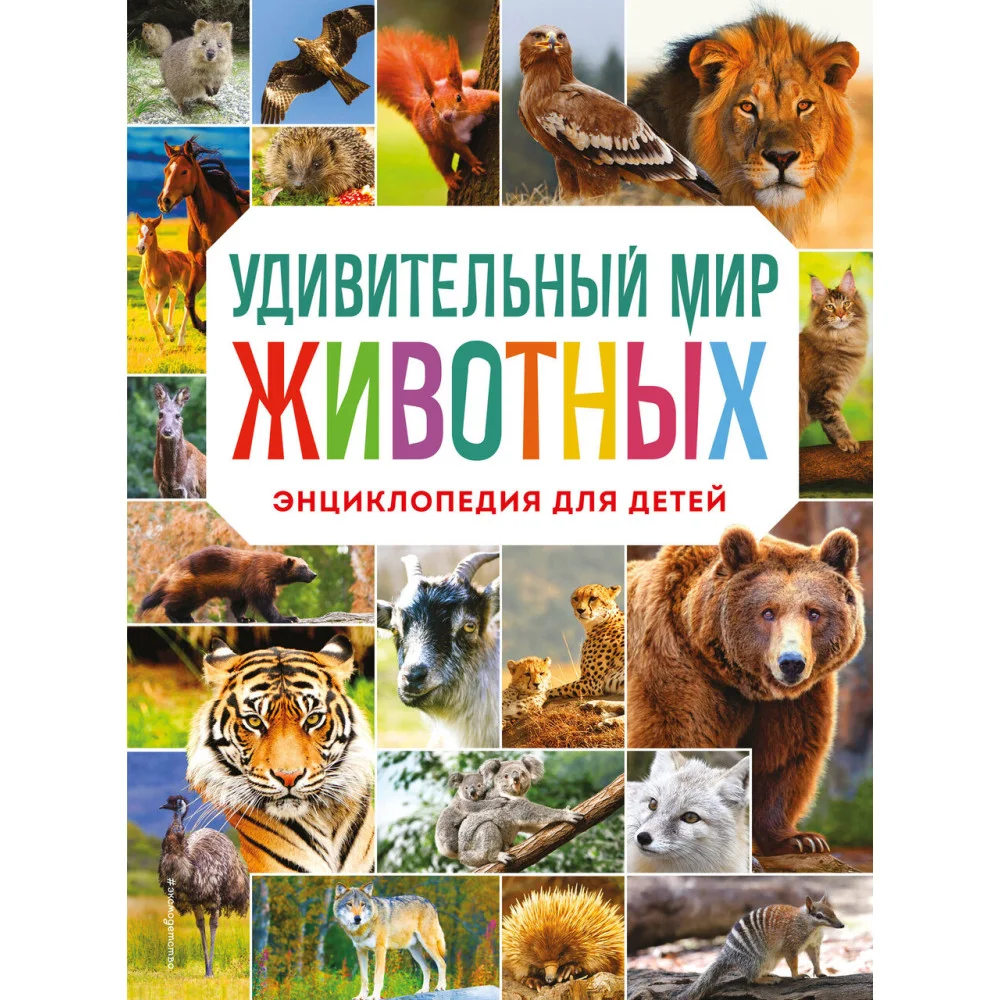 Удивительный мир животных. Энциклопедия для детей Удивительный мир животных. Энциклопедия для детей