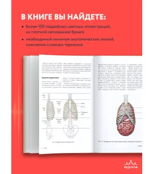 Анатомия голоса. Иллюстрированное руководство для певцов, преподавателей по вокалу и логопедов