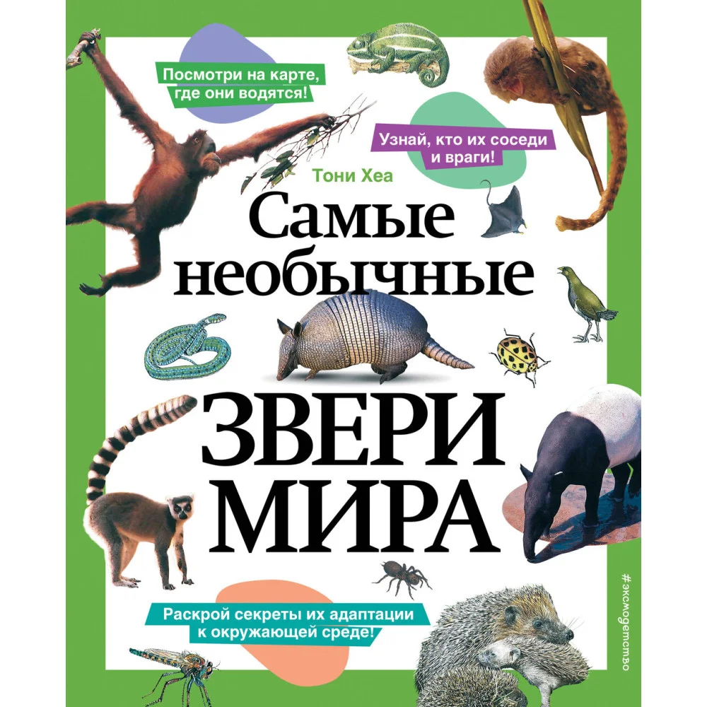 Самые необычные звери мира Самые необычные звери мира