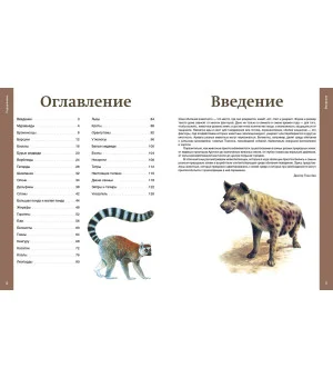 Самые необычные звери мира