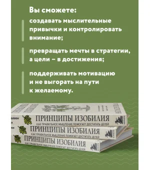 Принципы изобилия. Как правильное мышление помогает достигать целей и исполнять желания Принципы изобилия. Как правильное мышление помогает достигать целей и исполнять желания
