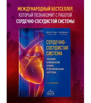 Сердечно-сосудистая система. Анатомия и физиология в покое и при физических нагрузках