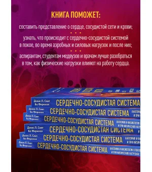 Сердечно-сосудистая система. Анатомия и физиология в покое и при физических нагрузках