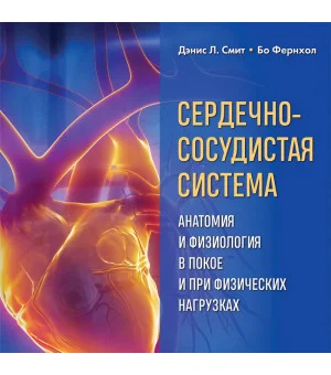 Сердечно-сосудистая система. Анатомия и физиология в покое и при физических нагрузках