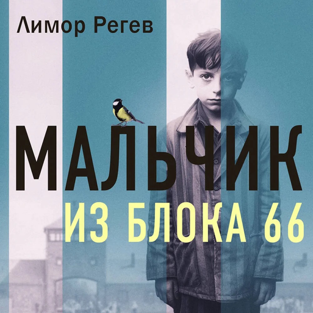 Мальчик из Блока 66. Реальная история ребенка, пережившего Аушвиц и Бухенвальд Мальчик из Блока 66. Реальная история ребенка, пережившего Аушвиц и Бухенвальд