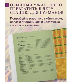 Грамматика цветов. Иллюстрированный путеводитель по цветочной вселенной символов, лечебных свойств и применения растений