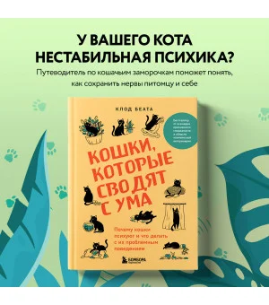 Кошки, которые сводят с ума. Почему кошки психуют и что делать с их проблемным поведением